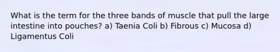 What is the term for the three bands of muscle that pull the large intestine into pouches? a) Taenia Coli b) Fibrous c) Mucosa d) Ligamentus Coli