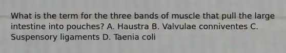 What is the term for the three bands of muscle that pull the large intestine into pouches? A. Haustra B. Valvulae conniventes C. Suspensory ligaments D. Taenia coli