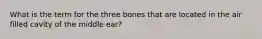 What is the term for the three bones that are located in the air filled cavity of the middle ear?