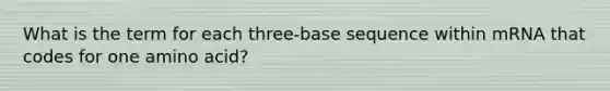 What is the term for each three-base sequence within mRNA that codes for one amino acid?