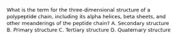 What is the term for the three-dimensional structure of a polypeptide chain, including its alpha helices, beta sheets, and other meanderings of the peptide chain? A. Secondary structure B. Primary structure C. Tertiary structure D. Quaternary structure