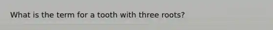 What is the term for a tooth with three roots?