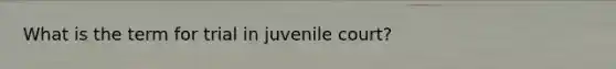 What is the term for trial in juvenile court?