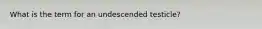 What is the term for an undescended testicle?