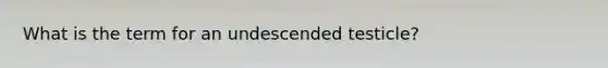 What is the term for an undescended testicle?