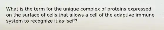 What is the term for the unique complex of proteins expressed on the surface of cells that allows a cell of the adaptive immune system to recognize it as 'sef'?