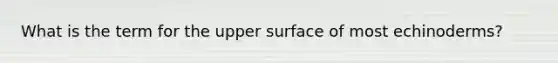 What is the term for the upper surface of most echinoderms?