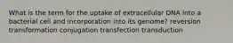 What is the term for the uptake of extracellular DNA into a bacterial cell and incorporation into its genome? reversion transformation conjugation transfection transduction