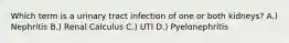 Which term is a urinary tract infection of one or both kidneys? A.) Nephritis B.) Renal Calculus C.) UTI D.) Pyelonephritis