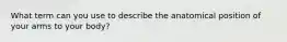 What term can you use to describe the anatomical position of your arms to your body?