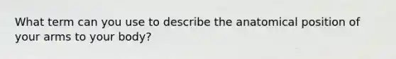 What term can you use to describe the anatomical position of your arms to your body?