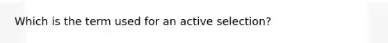 Which is the term used for an active selection?