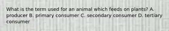 What is the term used for an animal which feeds on plants? A. producer B. primary consumer C. secondary consumer D. tertiary consumer