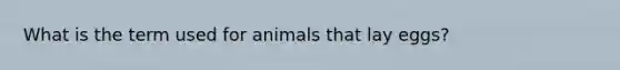 What is the term used for animals that lay eggs?