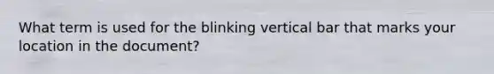 What term is used for the blinking vertical bar that marks your location in the document?