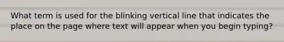 What term is used for the blinking vertical line that indicates the place on the page where text will appear when you begin typing?