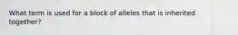 What term is used for a block of alleles that is inherited together?