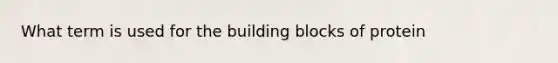 What term is used for the building blocks of protein