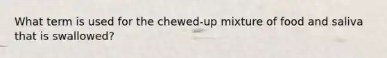 What term is used for the chewed-up mixture of food and saliva that is swallowed?