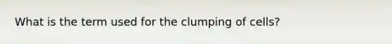 What is the term used for the clumping of cells?