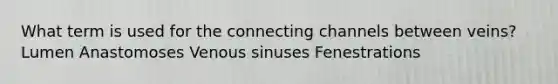 What term is used for the connecting channels between veins? Lumen Anastomoses Venous sinuses Fenestrations