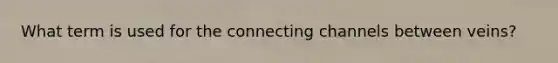 What term is used for the connecting channels between veins?