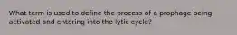 What term is used to define the process of a prophage being activated and entering into the lytic cycle?