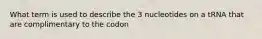 What term is used to describe the 3 nucleotides on a tRNA that are complimentary to the codon