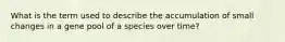 What is the term used to describe the accumulation of small changes in a gene pool of a species over time?