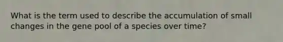 What is the term used to describe the accumulation of small changes in the gene pool of a species over time?