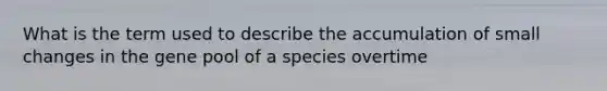 What is the term used to describe the accumulation of small changes in the gene pool of a species overtime