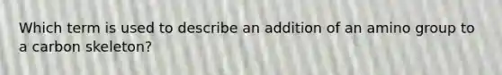 Which term is used to describe an addition of an amino group to a carbon skeleton?