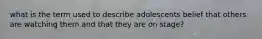 what is the term used to describe adolescents belief that others are watching them and that they are on stage?