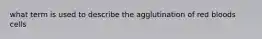 what term is used to describe the agglutination of red bloods cells