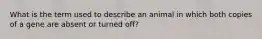 What is the term used to describe an animal in which both copies of a gene are absent or turned off?