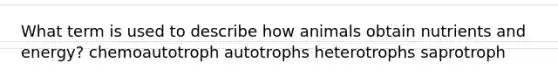 What term is used to describe how animals obtain nutrients and energy? chemoautotroph autotrophs heterotrophs saprotroph