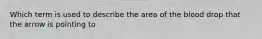 Which term is used to describe the area of the blood drop that the arrow is pointing to