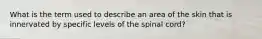 What is the term used to describe an area of the skin that is innervated by specific levels of the spinal cord?