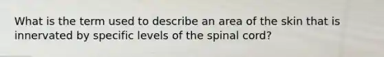 What is the term used to describe an area of the skin that is innervated by specific levels of the spinal cord?