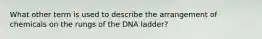 What other term is used to describe the arrangement of chemicals on the rungs of the DNA ladder?