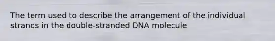 The term used to describe the arrangement of the individual strands in the double-stranded DNA molecule