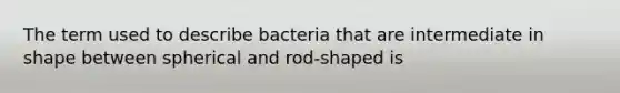 The term used to describe bacteria that are intermediate in shape between spherical and rod-shaped is