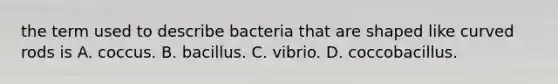 the term used to describe bacteria that are shaped like curved rods is A. coccus. B. bacillus. C. vibrio. D. coccobacillus.