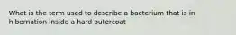 What is the term used to describe a bacterium that is in hibernation inside a hard outercoat