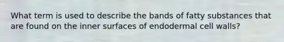 What term is used to describe the bands of fatty substances that are found on the inner surfaces of endodermal cell walls?