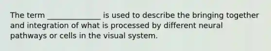 The term ______________ is used to describe the bringing together and integration of what is processed by different neural pathways or cells in the visual system.