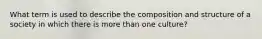 What term is used to describe the composition and structure of a society in which there is more than one culture?