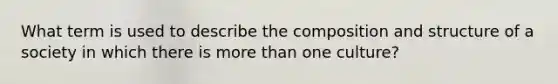 What term is used to describe the composition and structure of a society in which there is more than one culture?