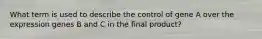 What term is used to describe the control of gene A over the expression genes B and C in the final product?