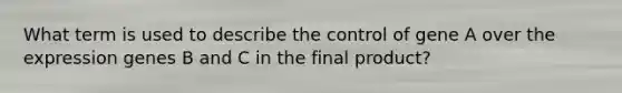 What term is used to describe the control of gene A over the expression genes B and C in the final product?